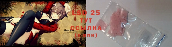 гидропоника Горно-Алтайск