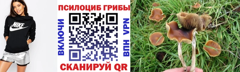 Галлюциногенные грибы мухоморы  Меленки 